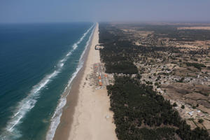 Filao trees form a canopy that slows coastal erosion along Senegal's Atlantic coast. US climate envoy John Kerry has announced a carbon market plan that could allow countries to offset climate change emissions.