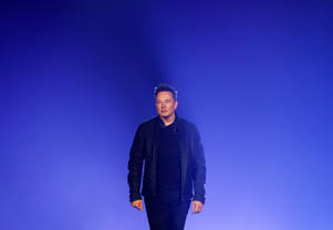 Billionaire Elon Musk is paraded during the presentation.