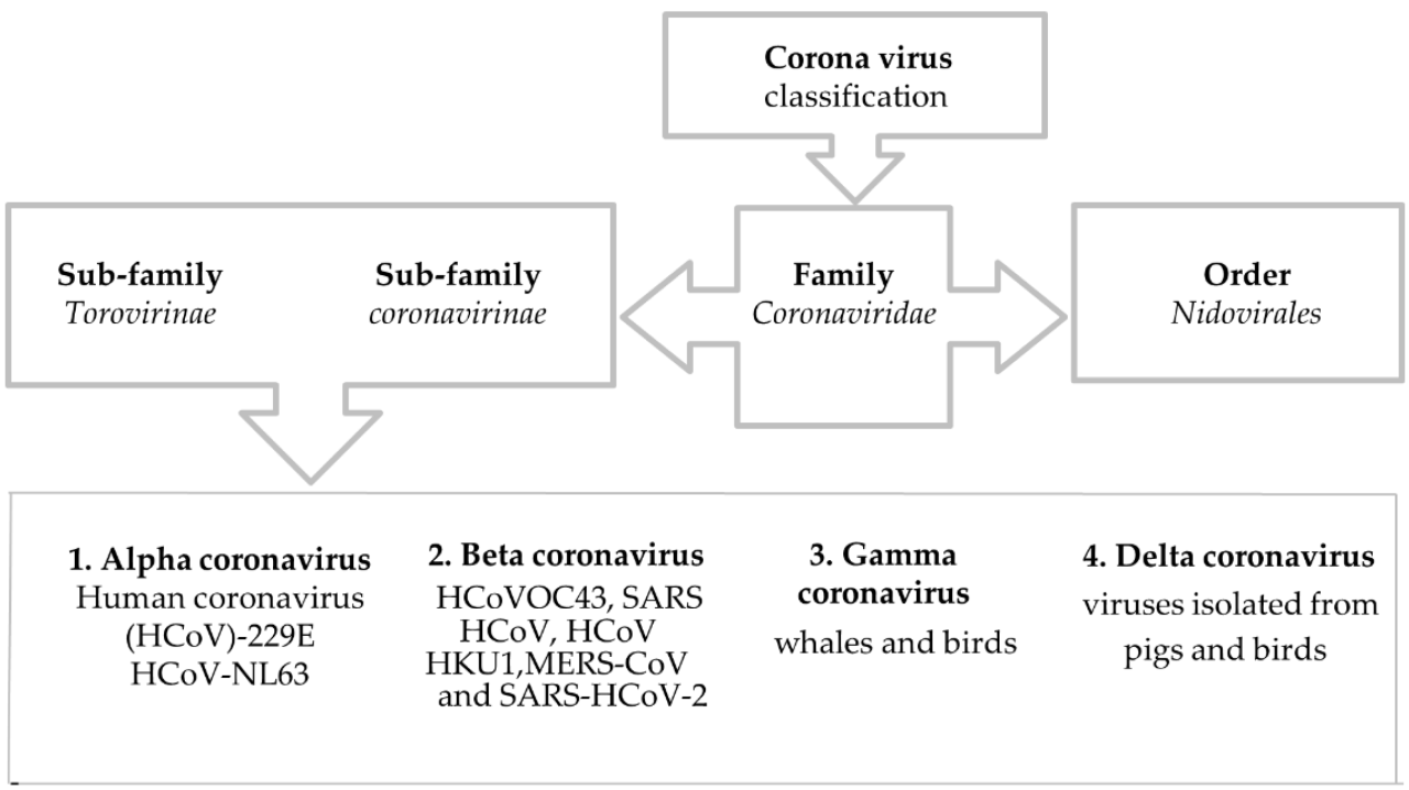 Breaking News: New Coronavirus Strain Detected in Indonesia