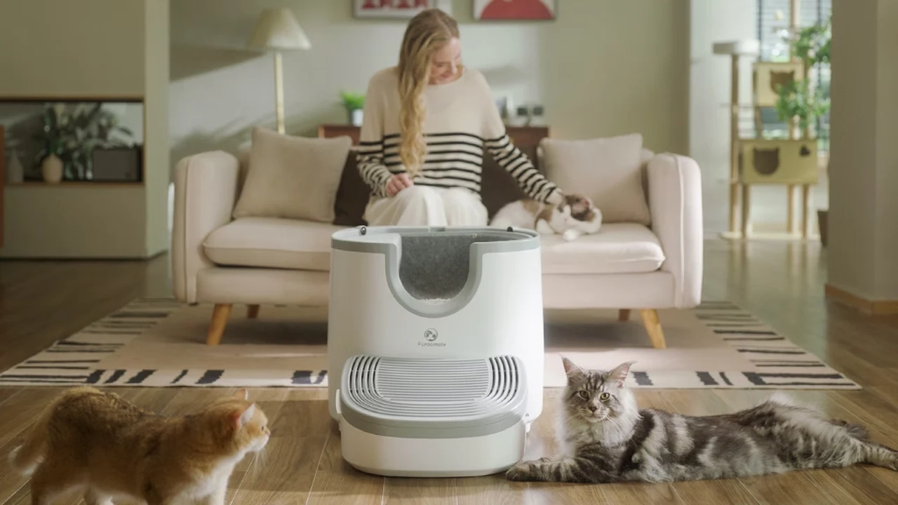 Furoomate self-cleaning cat litter box designed for any size cat