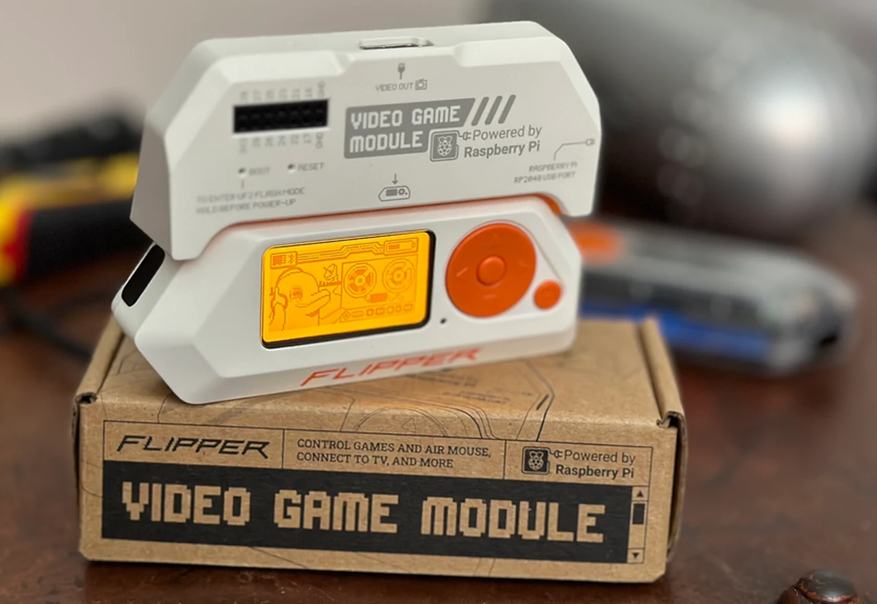 Flipper video game module